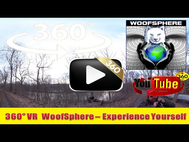 360 Videos | VR | Virtual Reality | WooFSphere | C and O | Husky Dog Cruising past AWESOME Rocks