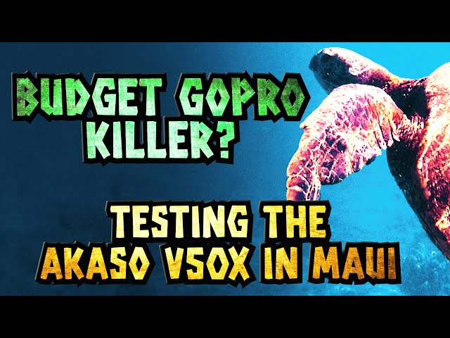 Budget GoPro Killer? Testing the Akaso V50x in Maui! 🏝🐢🌊