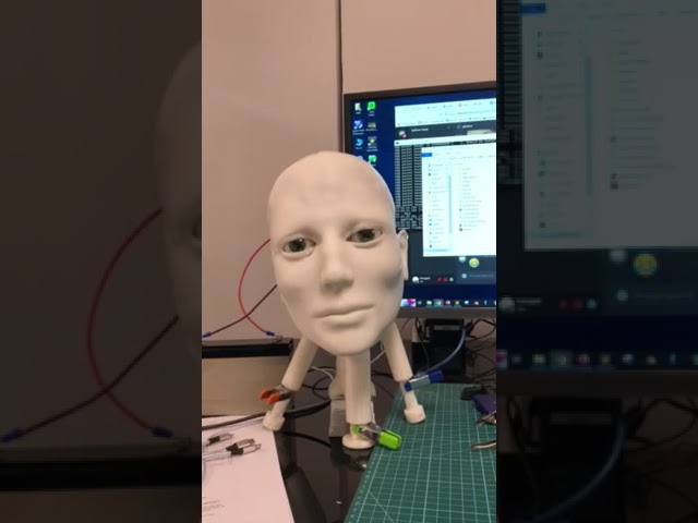 i2Head InMoov