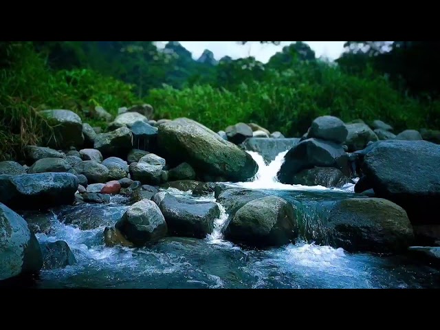 Forest River Water Sounds – Sleep Ambience for Deep Rest & Mental Peace
