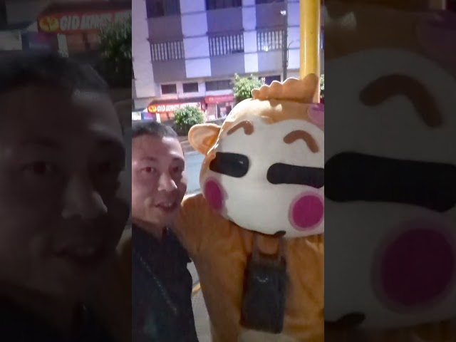 Discover Mischievous Monkey of Baguio, Philippines