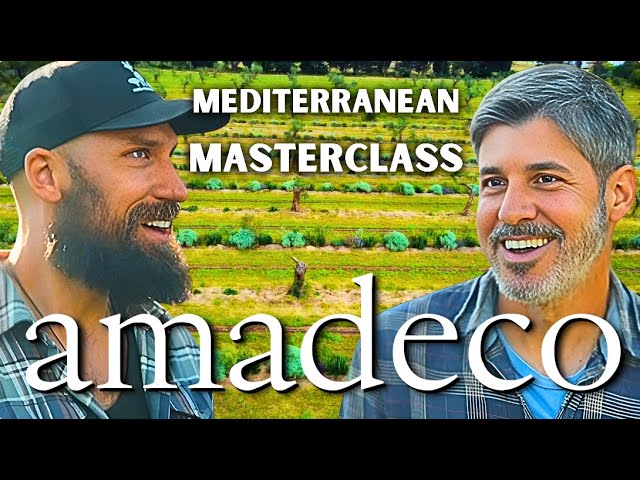 Amadeco: A Masterclass in Mediterranean Syntropic Agroforestry (Felipe Pasini)