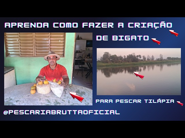APRENDA O P@SSO Á PASSO EM COMO F@ZER A CRIAÇÃO DE BIGATO DE L@RANJA PARA PESCAR TILÁPIA