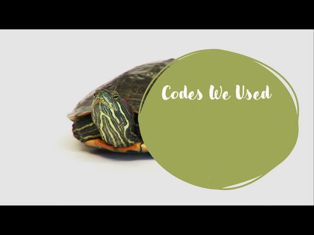 Final Project Of Turtle Programming, Pt:1