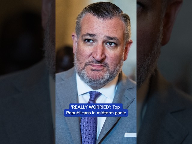 'REALLY WORRIED': Top Republicans in midterm panic