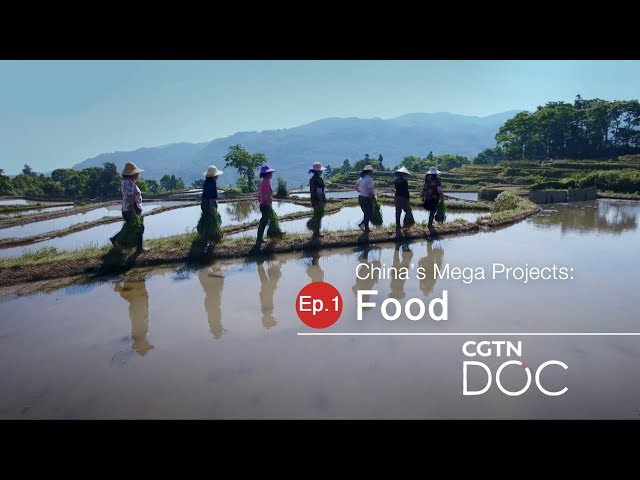 China's Mega Projects: Food