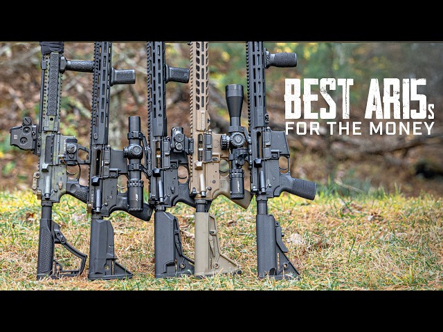Los 5 mejores AR-15 por su precio en 2026