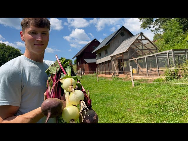 Peaceful Life on a Small Farm: Eggs, Honey and Fresh Vegetables