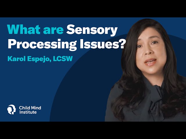 What Are Sensory Processing Issues?