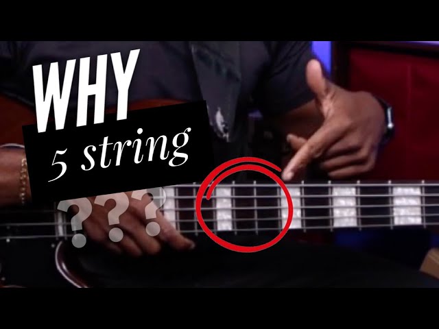 5-String vs 4-String: The Two Benefits That Actually Matter