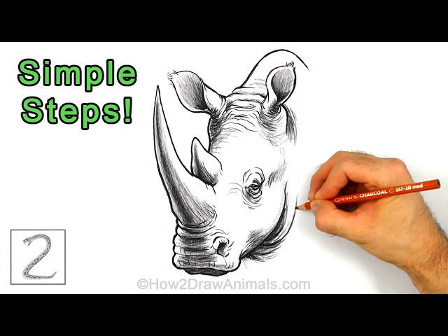 Easy Way to Draw a Rhino Using Simple Shapes