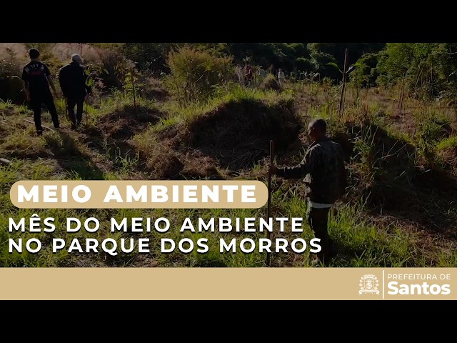 Meio Ambiente - Mês do Meio Ambiente no Parque dos Morros