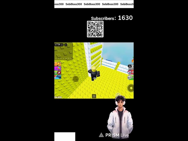 Live streaming of SebiBoss300