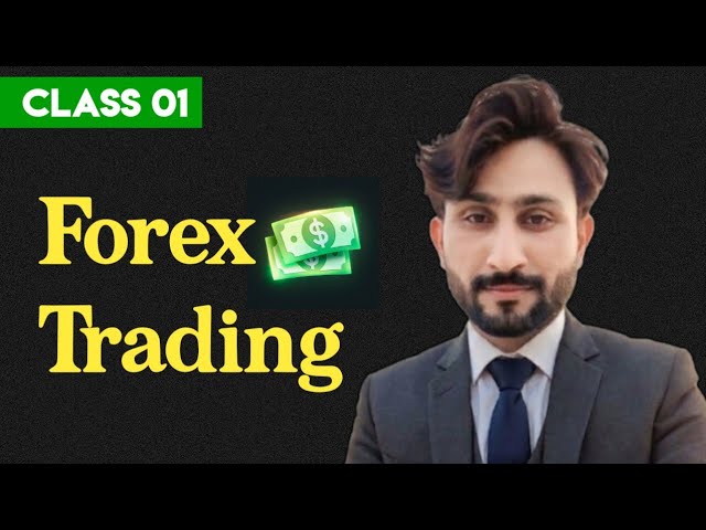 Forex trading for begginers | What is forex trading and how does it work | #NMBFx