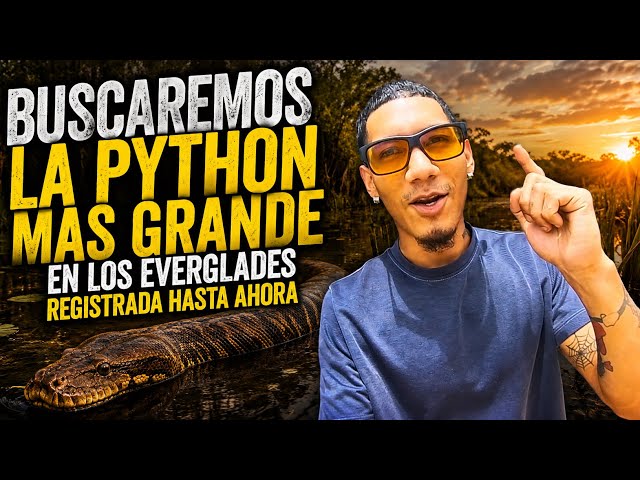 PASAREMOS 2 DIAS EN LOS EVERGLADES BUSCANDO LA PYTHON MAS GRANDE GASTA AHORA😱😱🐍 