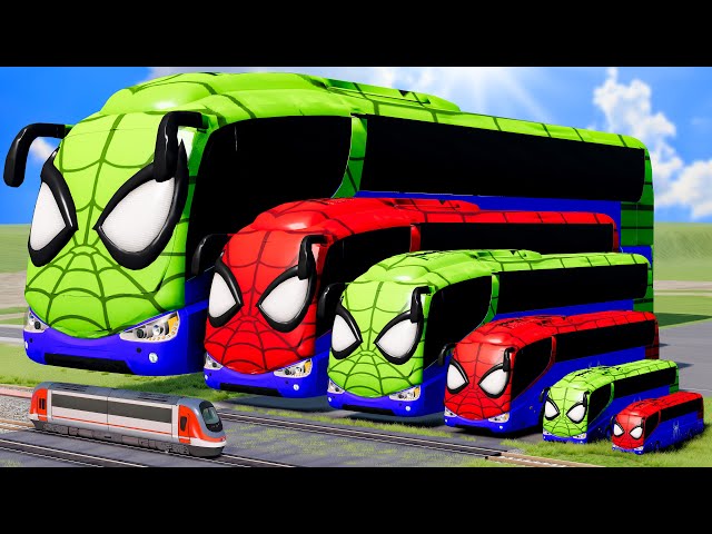 Big & Small Long Buses Spiderman Red vs Green vs Train Thomas | BeamNG.Drive