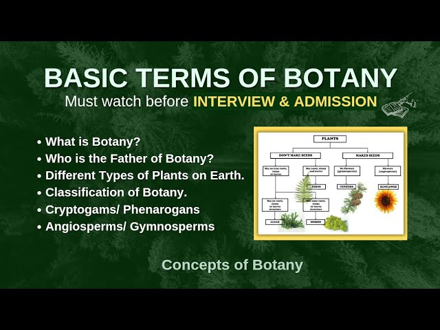 Botany Basic Terms Asked in Job Interviews & Exams| Classification of Plants |Cryptogam ,Phanerogam