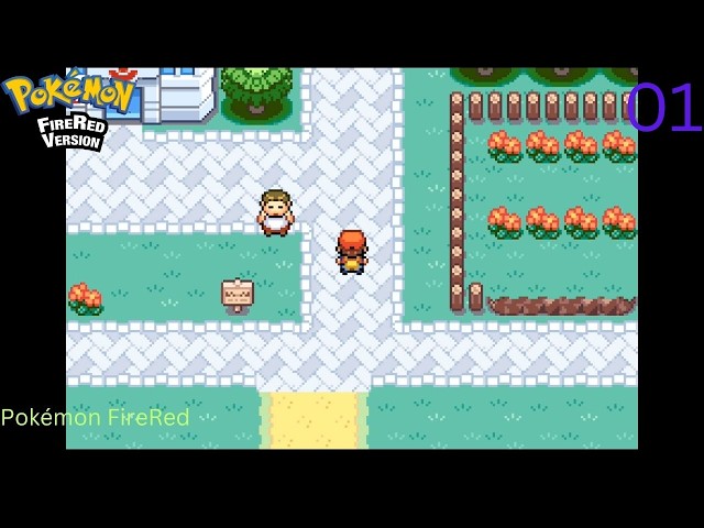PEWTER CITY | Pokémon FireRed Gameplay Walkthrough Part 1 | No Commentary NS2