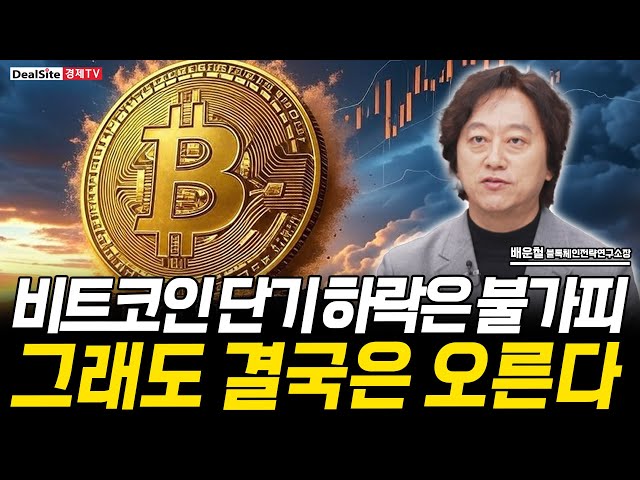 Bitcoin Short-Term Decline Due to BOJ Rate Hike... But It Will Eventually Rise [Bae Woon-chul, Di...