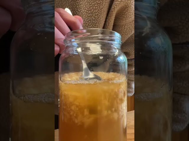 How to make a Ginger Bug (Ginger Beer Starter)