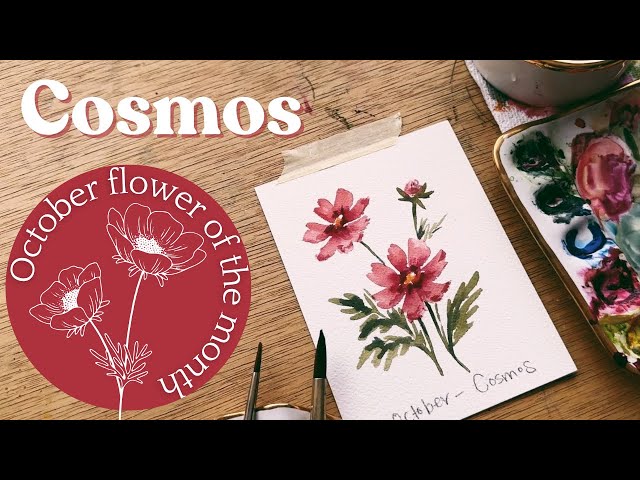 Watercolor Cosmos - October birth flower