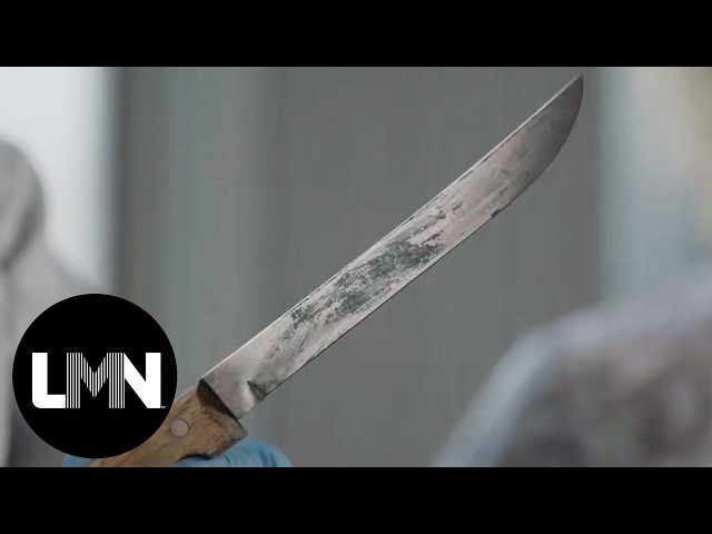 Cold Case Files: Evidence NEVER Lies! | LMN