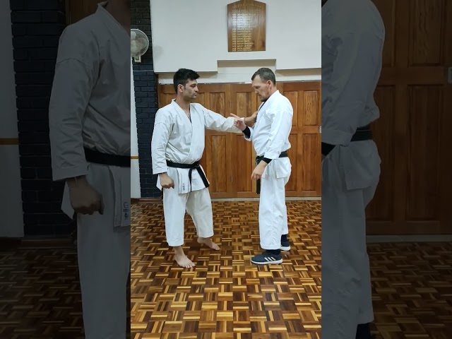 Application for opening sequence of Pinan / Heian Sandan #karate #bunkai #kata #karatejutsu