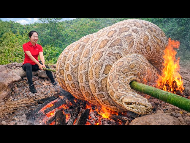 Harvesting Giant Unkillable Python & Go to Market Sell | Trap a giant python intruder to roast