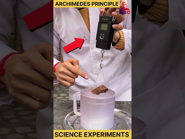 archimedes principle class 9 | science experiment | #automobile #physicsexperiment