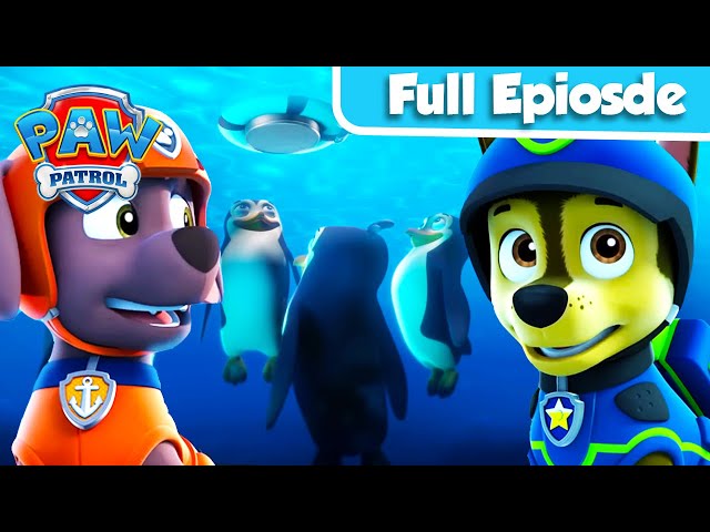 Pups Save The Penguins | FULL Episode | Chase Official Channel | PAW Patrol