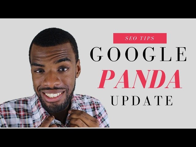 Google Panda Update | Google Search Algorithm
