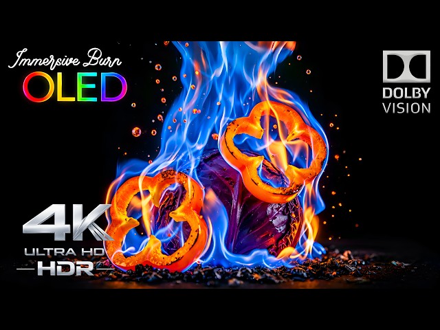 Immersive OLED Burn In Test 🔥 | 4K HDR 240FPS Dolby Vision (8K/4K Video TV)