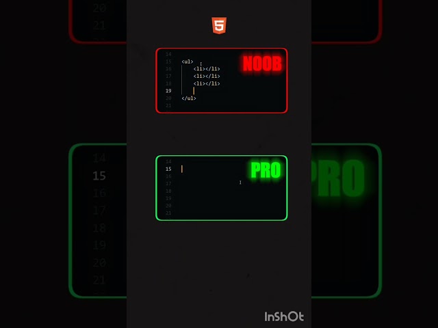 noob VS pro developer