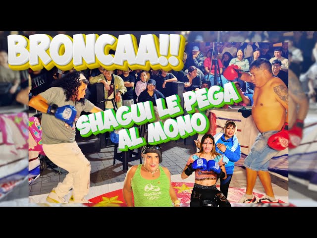 BRONCAZA EN CHABUCA - SHAGUI LE PEGA 🥊AL MONO PAVEL🙉|| COMICO MONO PAVEL