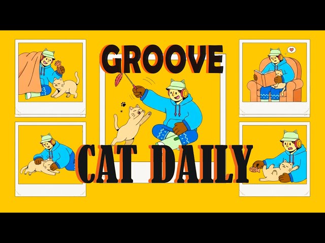 GROOVE • HIPHOP • CITY POP • FUNNY 🌿CATDAILY Thursday NOD!  Cat Toys 😄Music for Work, Study & Chill