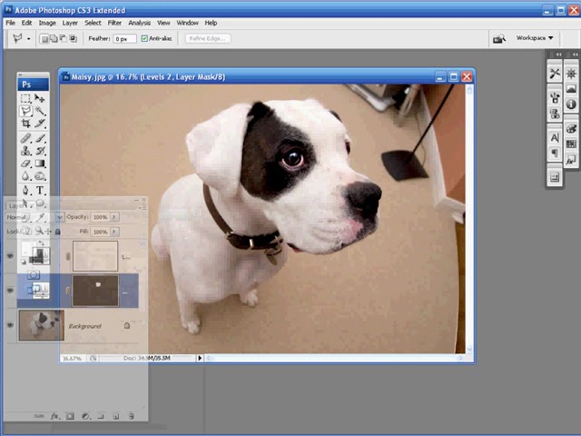 Editing 1-0-1 in (Adobe®) - Creative Suite, Photoshop, Elements, Lightroom, (Microsoft) - Paintshop,