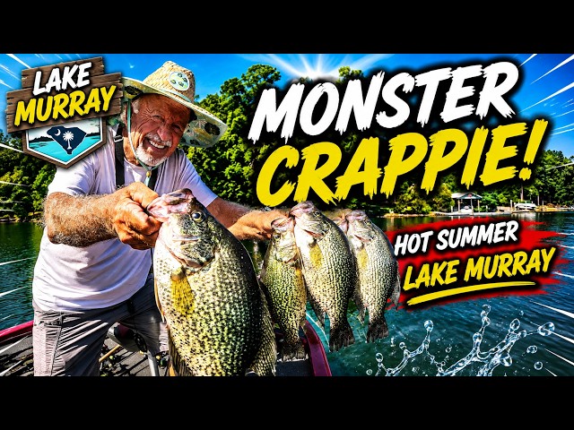 Super Slab Crappie in Hot Summer, Lake Murray!