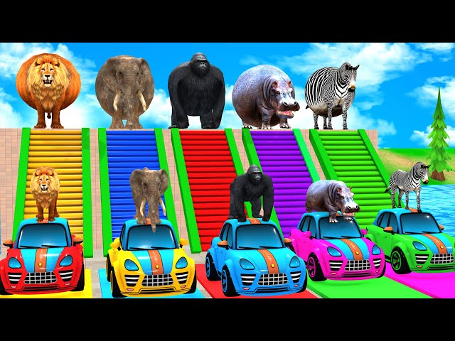 Long Slide Game with Cow Elephant Gorilla Hippopotamus Tiger 3d Animal Game Funny 3d Animals