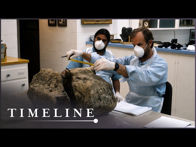 Scientists Unearth 13,000-Year-Old Mystery Beneath California Coast