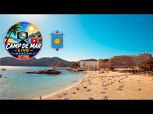🌞 Mallorca Webcam Camp de Mar Beach Live 24/7 4K UHD #balearicislands #Sunset #Travel #beachvibes
