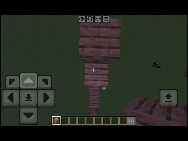 Java vs Bedrock