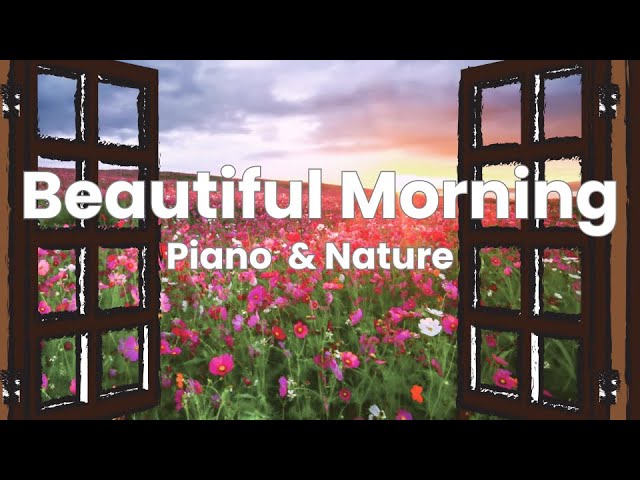 Morning Relaxation Piano Music | Uplifting Sunny Vibes & Peaceful Nature Sounds | Meditation Music