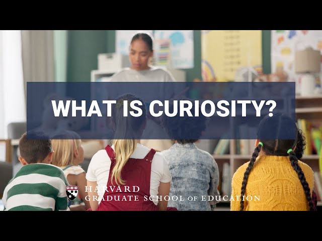 How to Foster Curiosity in Children with Elizabeth Bonawitz | HGSE Faculty Insights