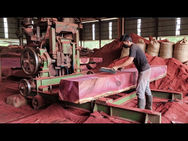 Amazing wood Cutting Skills | The Most Beautiful Wood Color Ever Seen #woodworking#woodcutting