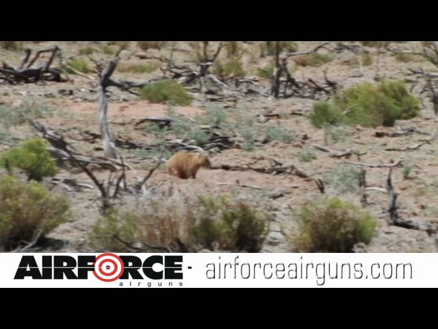 AirforceAirguns TalonP Air Pistol