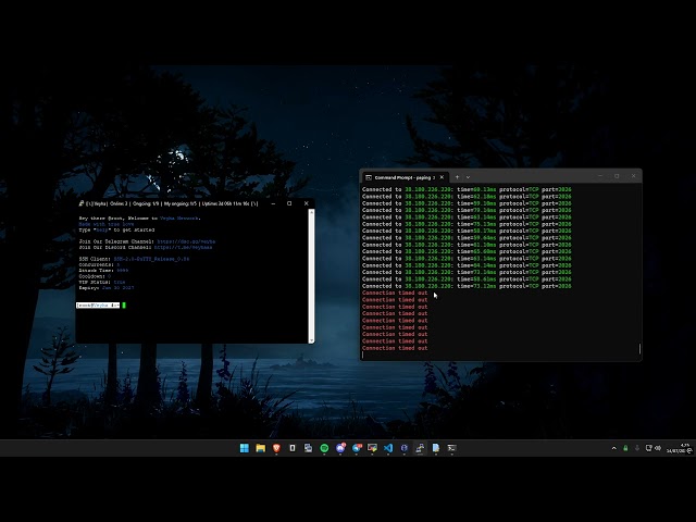 Veyha C2 VS OTHER C2 DSTAT BEST BOTNET / C2 IN 2026 / API