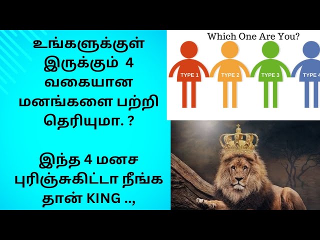 4 TYPES OF MIND