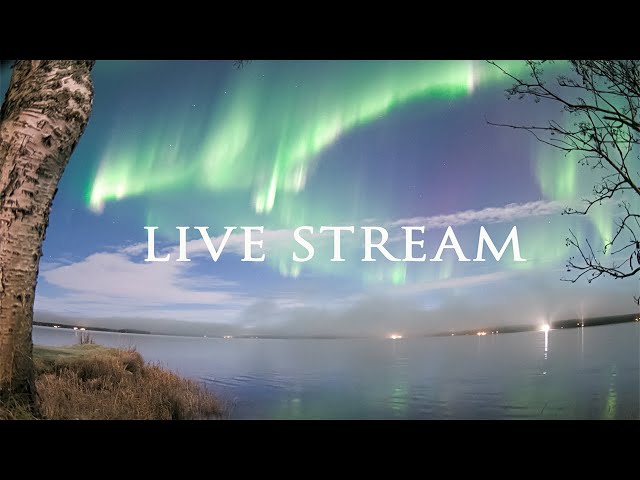 Aurora Alert Realtime Live