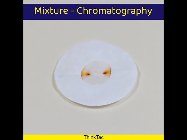 Mixture - Chromatography | ThinkTac | #YouTubeShorts #DIY #Short #DIYscience