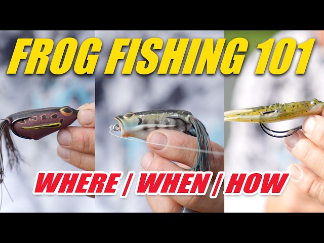The Ultimate Summer Bass Fishing CHEAT CODE! (Frog Fishing 101)